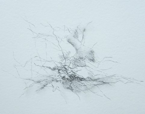 No. D27: charcoal drawing, 2011